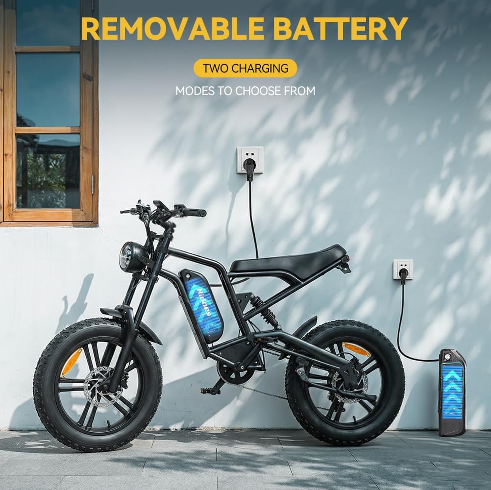 Kanpe 20" * 4" Electric Bikes for Adults,Hidoes B6 Road Bike Electric Mountain Bike with 48V 15.6Ah Removable Battery, 80KM Range,7-Speed,LCD Display,Fat Tyre E-bike with Dual Suspension