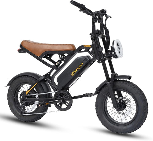 Bodywel M16 Fat Tire Electric Bike For Adult, 48V 13.5AH Removable Battery, 250W Brushless Motor, LCD Display, Dual Suspension, Disc Brakes, Headlight, Indicators for All Terrain