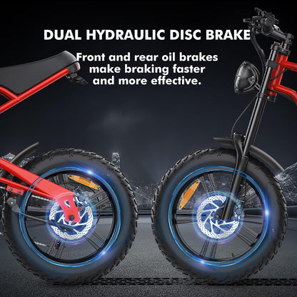 iENYRID Electric Bike for Adults, Fat Tire Hidoes B6 25KM/H Electric Bike Bicycles 15.6Ah Removable Battery E Bikes for Adults Electric Mountain Bike for Men