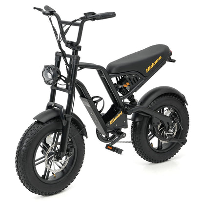 Kanpe 20" * 4" Electric Bikes for Adults,Hidoes B6 Road Bike Electric Mountain Bike with 48V 15.6Ah Removable Battery, 80KM Range,7-Speed,LCD Display,Fat Tyre E-bike with Dual Suspension