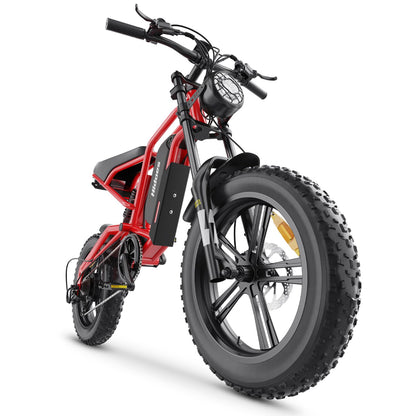 Kanpe 20" * 4" Electric Bikes for Adults,Hidoes B6 Road Bike Electric Mountain Bike with 48V 15.6Ah Removable Battery, 80KM Range,7-Speed,LCD Display,Fat Tyre E-bike with Dual Suspension