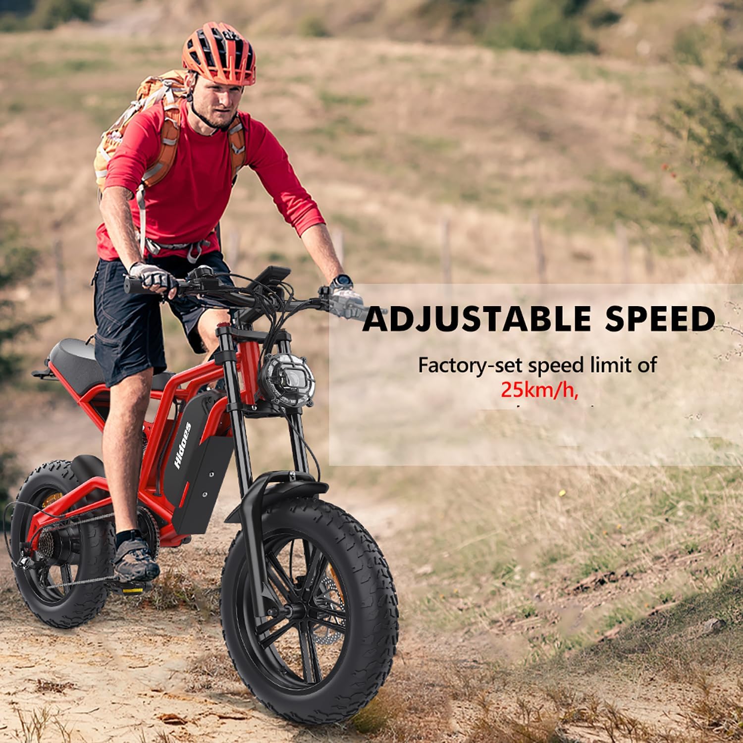 iENYRID Electric Bike for Adults, Fat Tire Hidoes B6 25KM/H Electric Bike Bicycles 15.6Ah Removable Battery E Bikes for Adults Electric Mountain Bike for Men